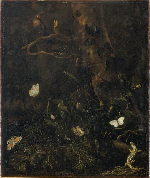 Sous-bois avec oiseaux, papillons et lézard