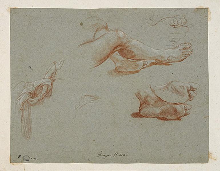 Etude de jambes