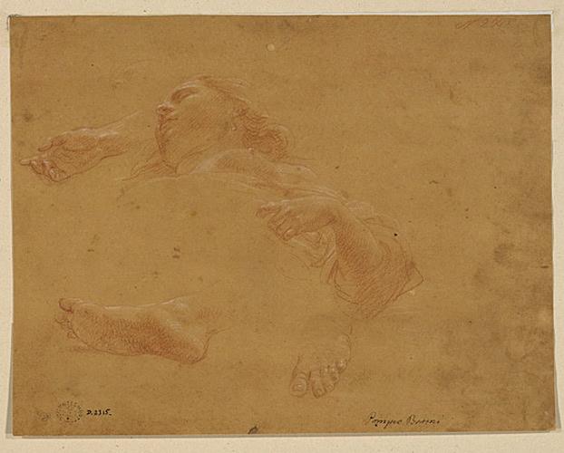 Etudes pour une femme à terre ; Etude d'une tête de femme paraissant dormir (ancien titre)