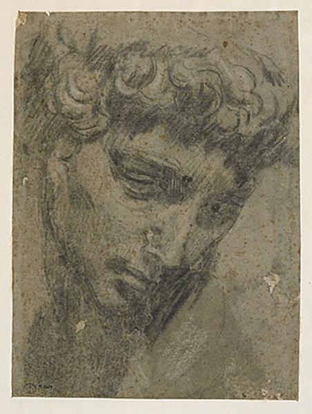 Visage d'après Michel-Ange