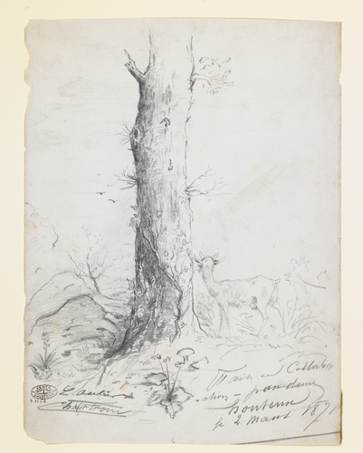 Biche au pied d'un arbre