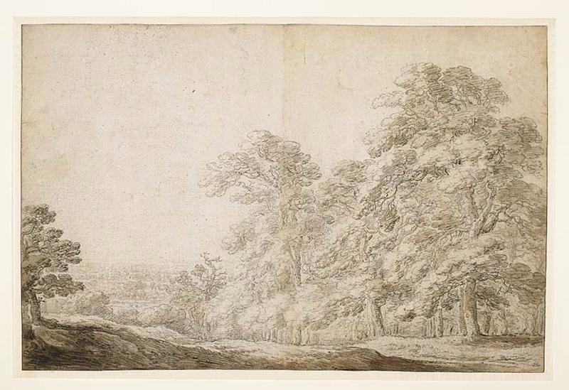 Paysage : une plaine vue d'une colline boisée