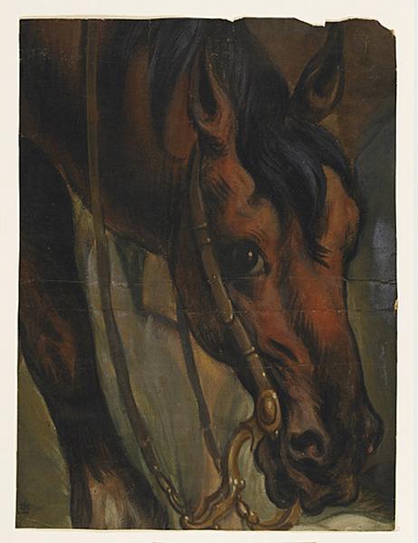 Tête de cheval