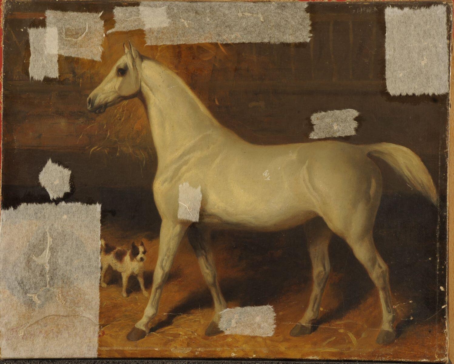 Le Cheval blanc