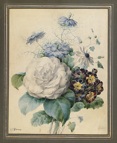 Bouquet de fleurs : camélia, primevère auricule de Liège, nigelle de Damas et plante de la famille des Lobéliacées