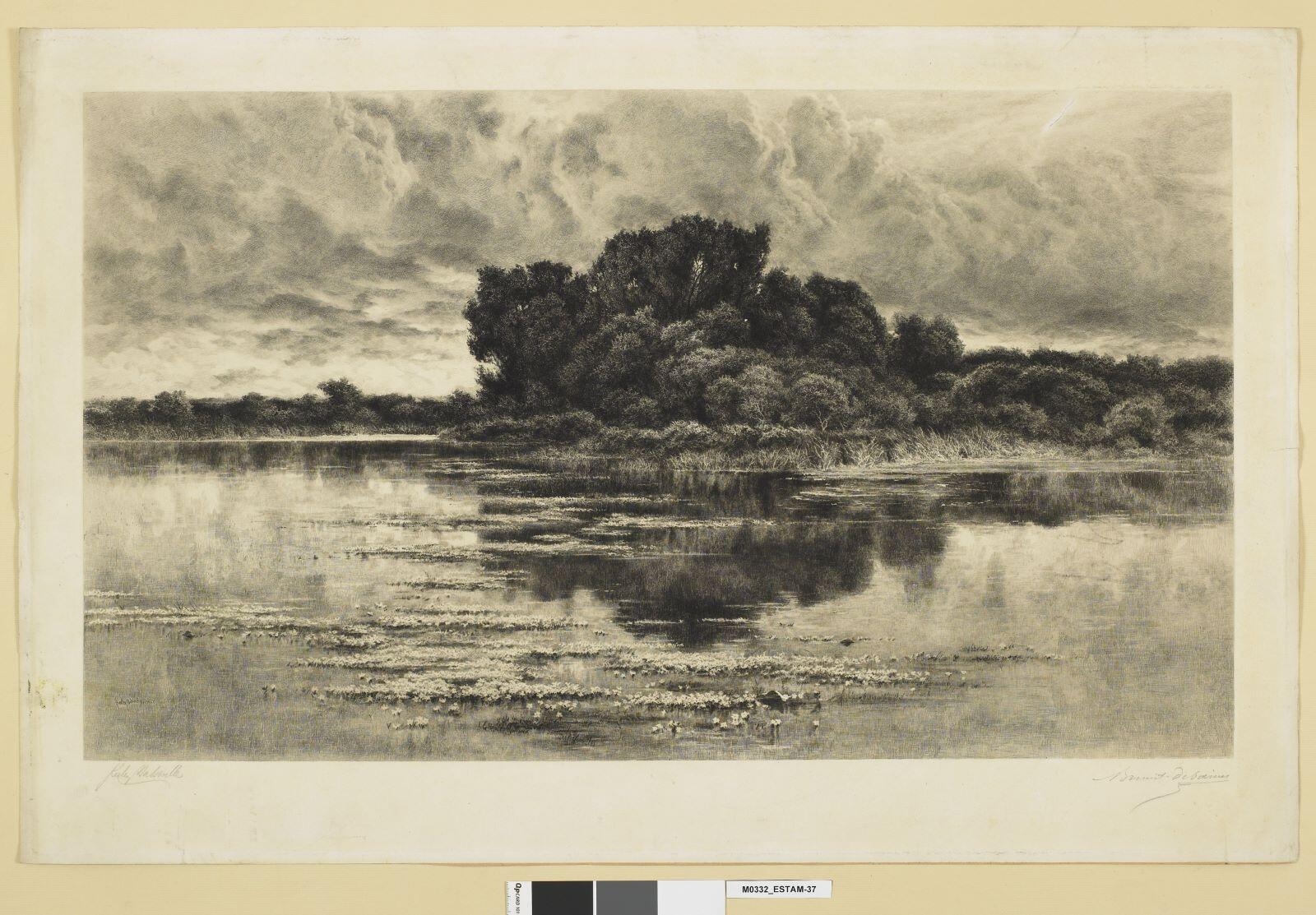 Willows Whiten ; La rivière