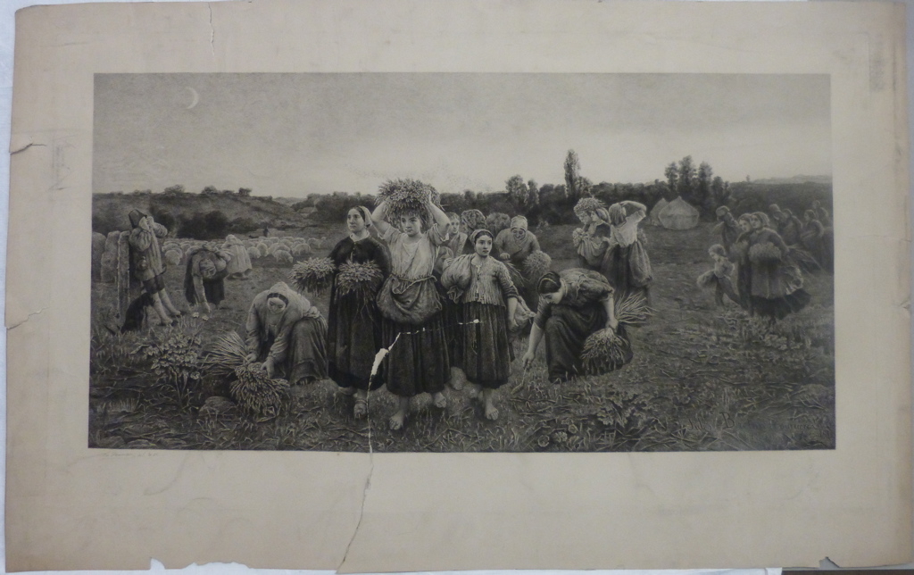 Le Rappel des glaneuses