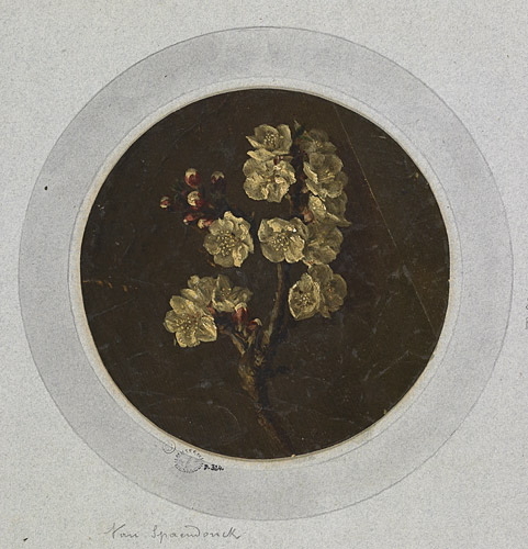 Etude d'une branche de pommier en fleurs