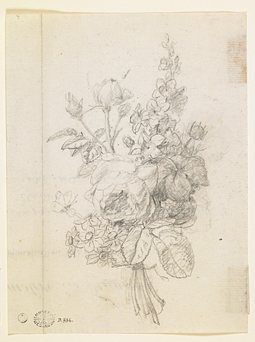 Etude d'un bouquet de fleurs diverses