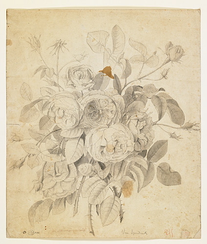 Gros bouquet de roses