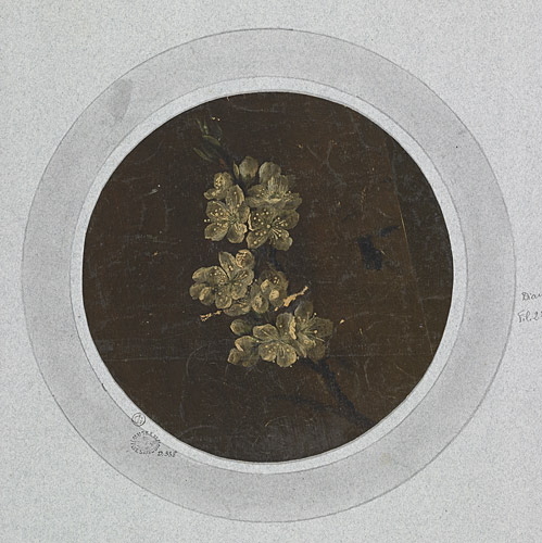 Etude de fleurs de pommier