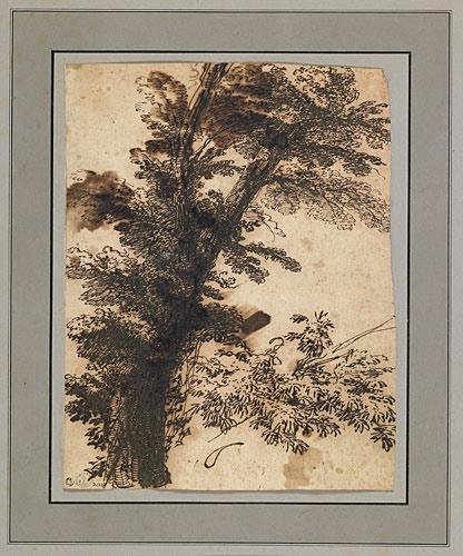 Un arbre (recto) ; Deux visages (verso)