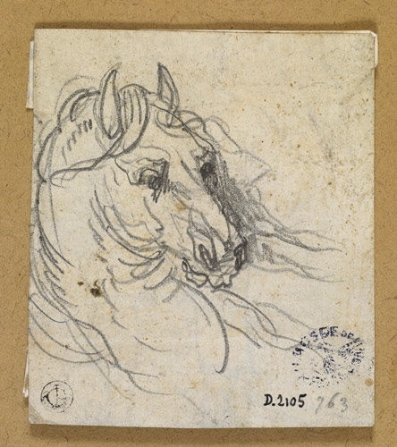 Croquis d'une tête de cheval