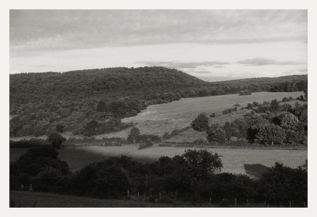 Paysage bocager et vallonné, 2008 Ombre au premier plan, arbres et prairies ; à l'arrière-plan, versants boisés
