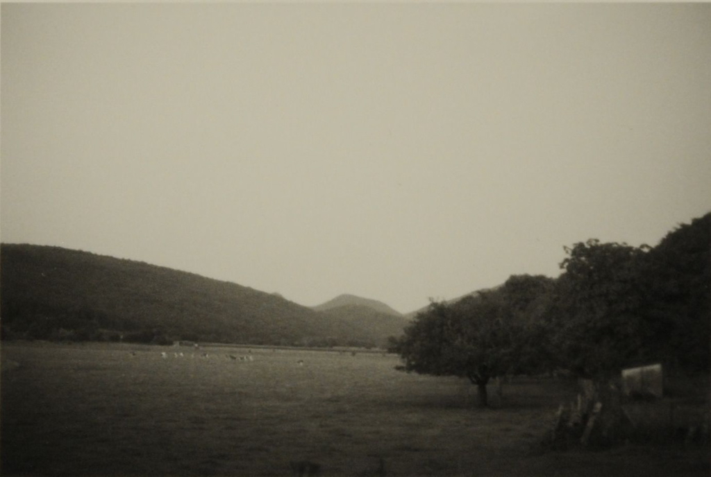 Près de Besançon 2008, grande prairie, arbres sur la droite et versants boisés à l'arrière-plan