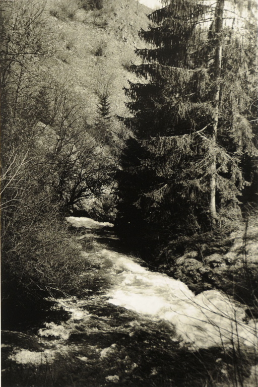 Foncine-le-Haut 2009, source de la Saine ; eaux tumultueuses au fond d'une vallée encaissée et boisée