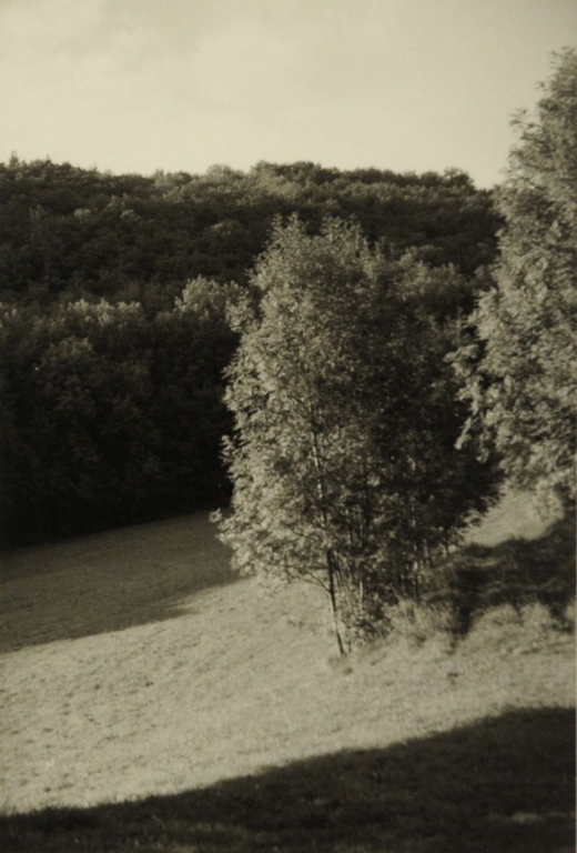 Vue depuis le mont Poupet 2008 ; effet de lumière sur une prairie en pente