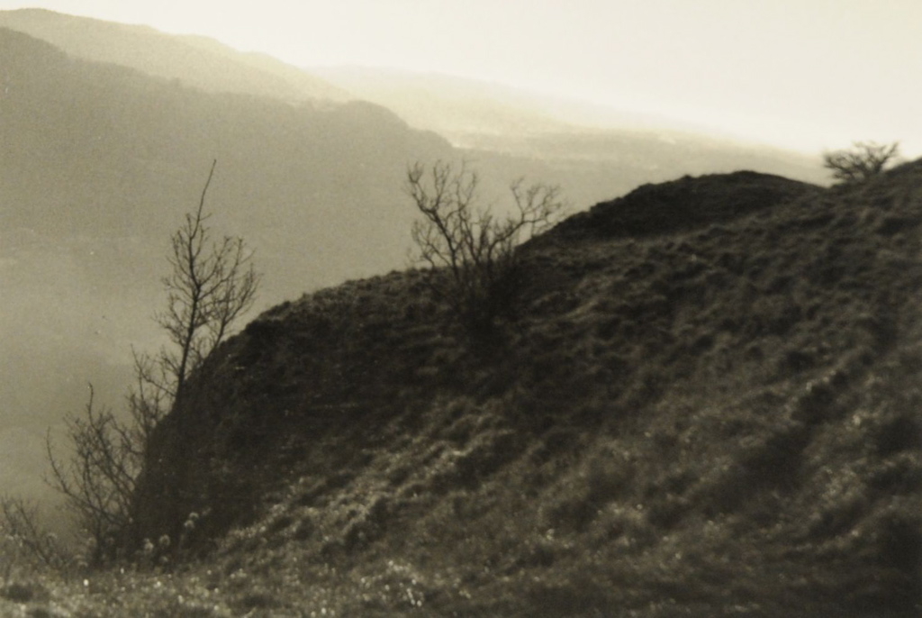 Belvédère d'Échevannes 2008. Au premier plan à droite, versant herbeux, arbres rabougris effeuillés et au lointain, collines dans la brume