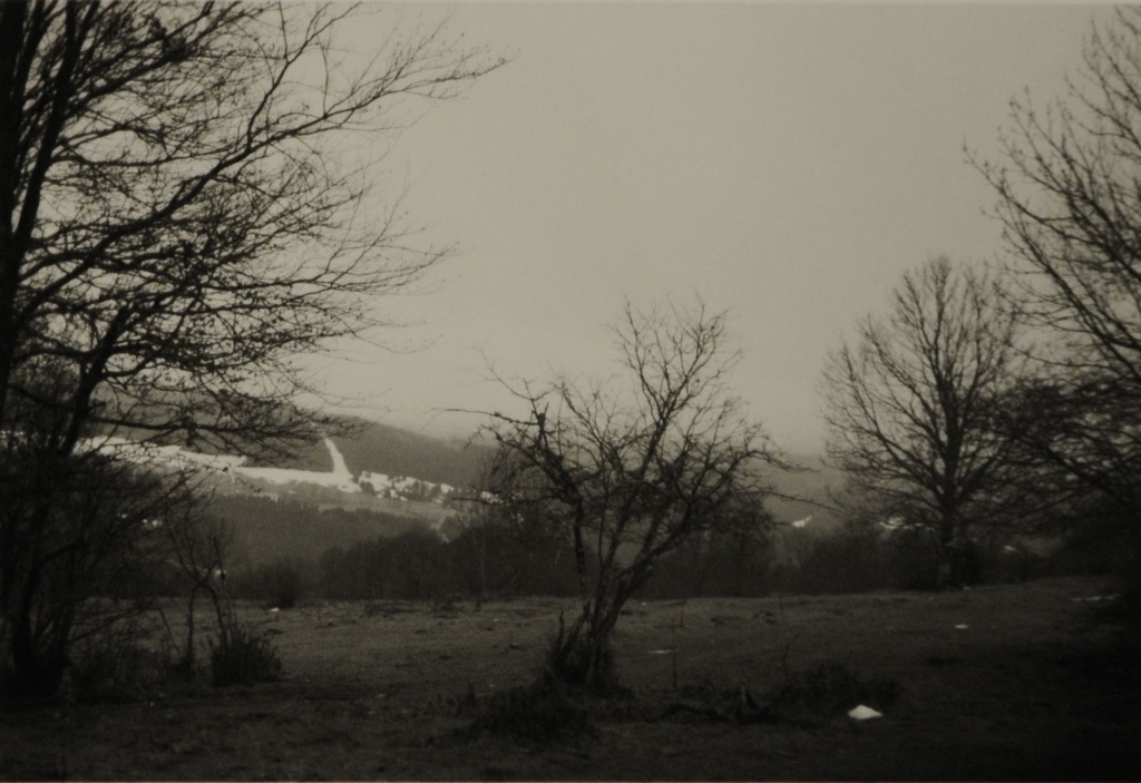 Montagne du Larmont 2008, prairie et arbres effeuillés ; à l'arrière-plan, versants boisés à la fin de la fonte des neiges