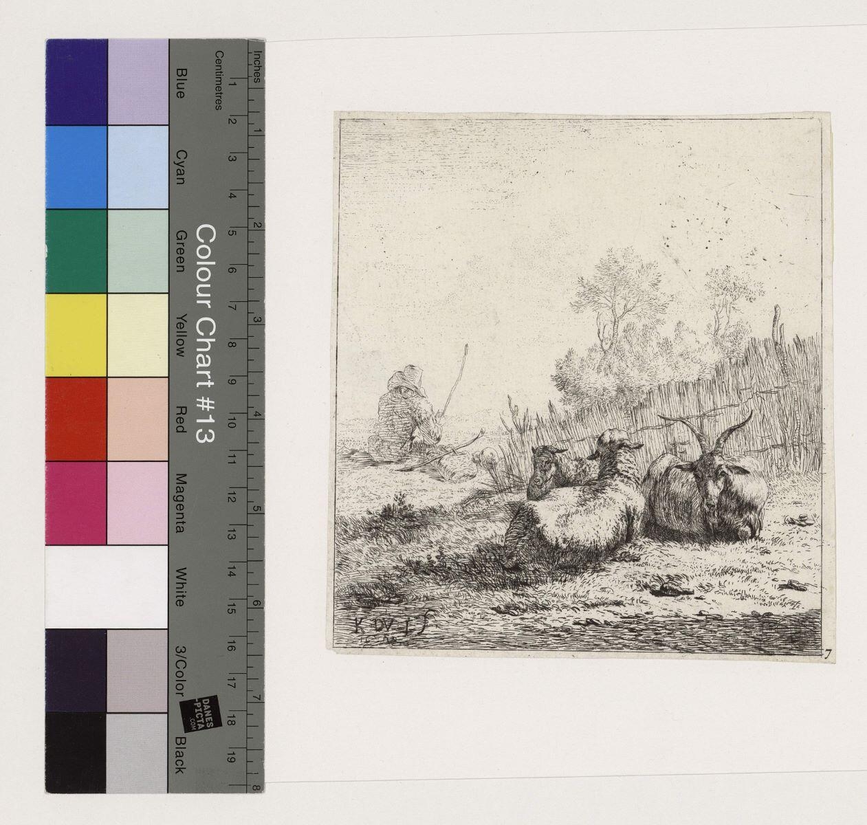 La Chèvre et les deux moutons allongés