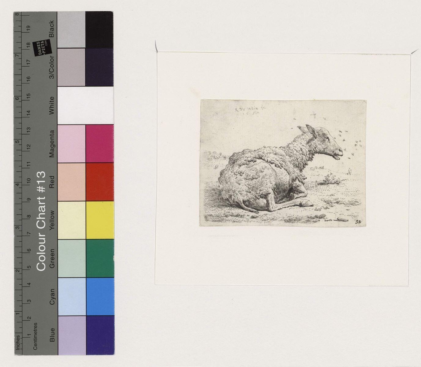 Le Mouton et les mouches