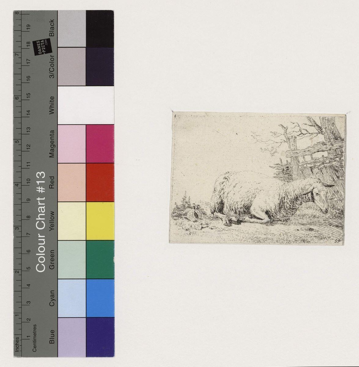 Le Mouton près de la haie de paille