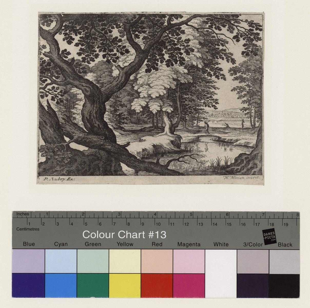 Un cours d'eau en forêt avec tronc brisé au premier plan