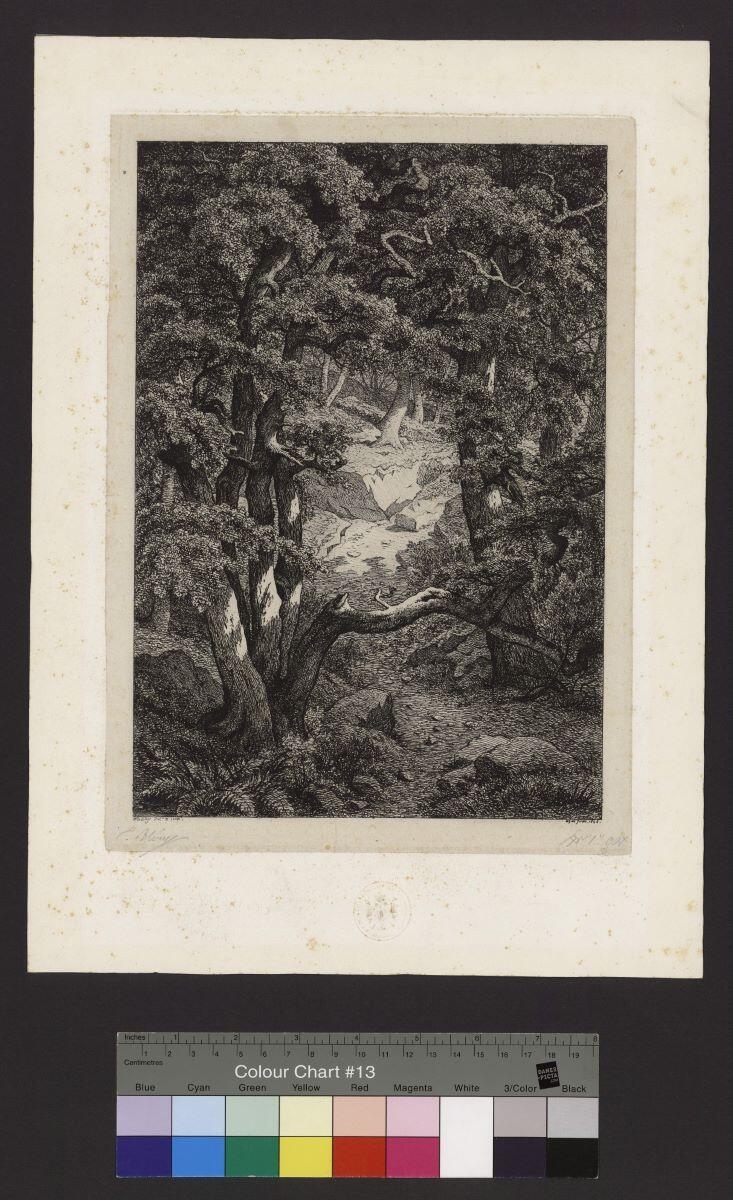 La Clairière aux roches (Fontainebleau)