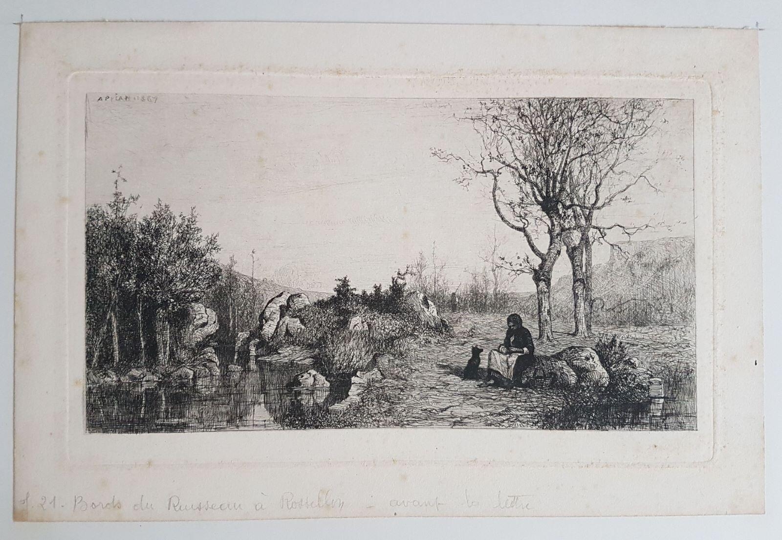 Bords du ruisseau à Rossillon (Ain)