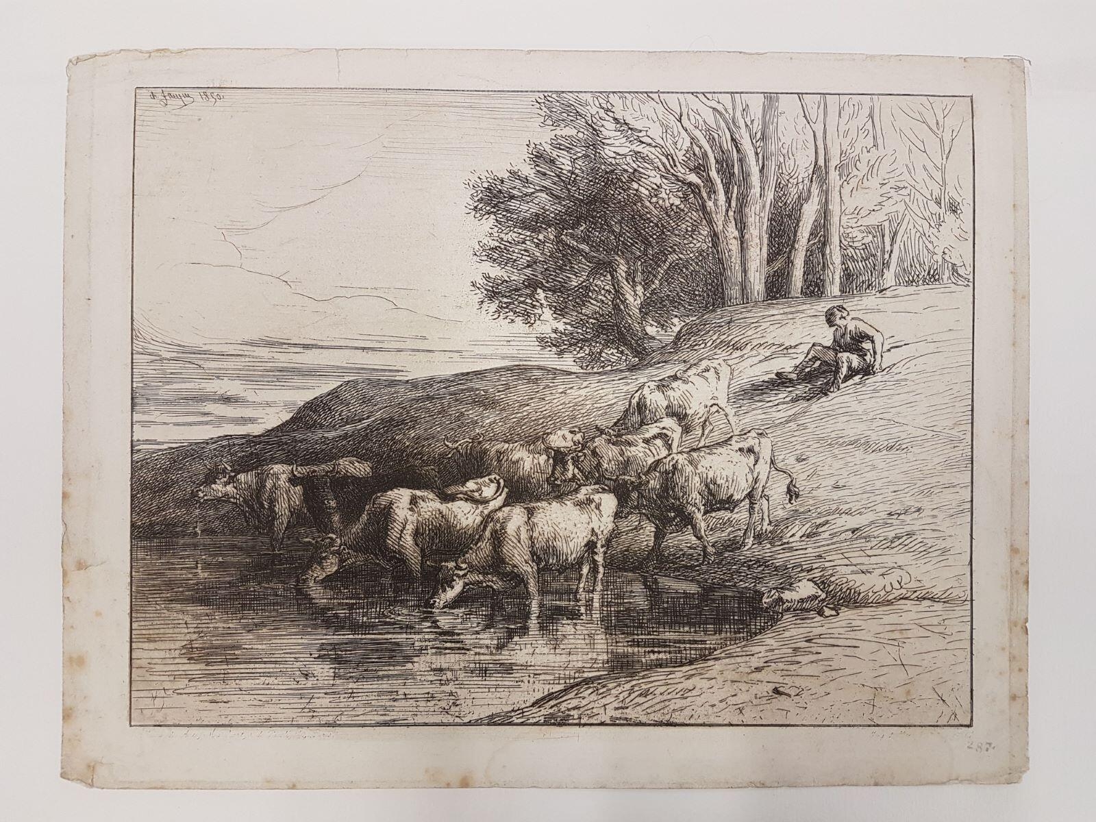 Huit vaches s'abreuvant au bord d'une mare