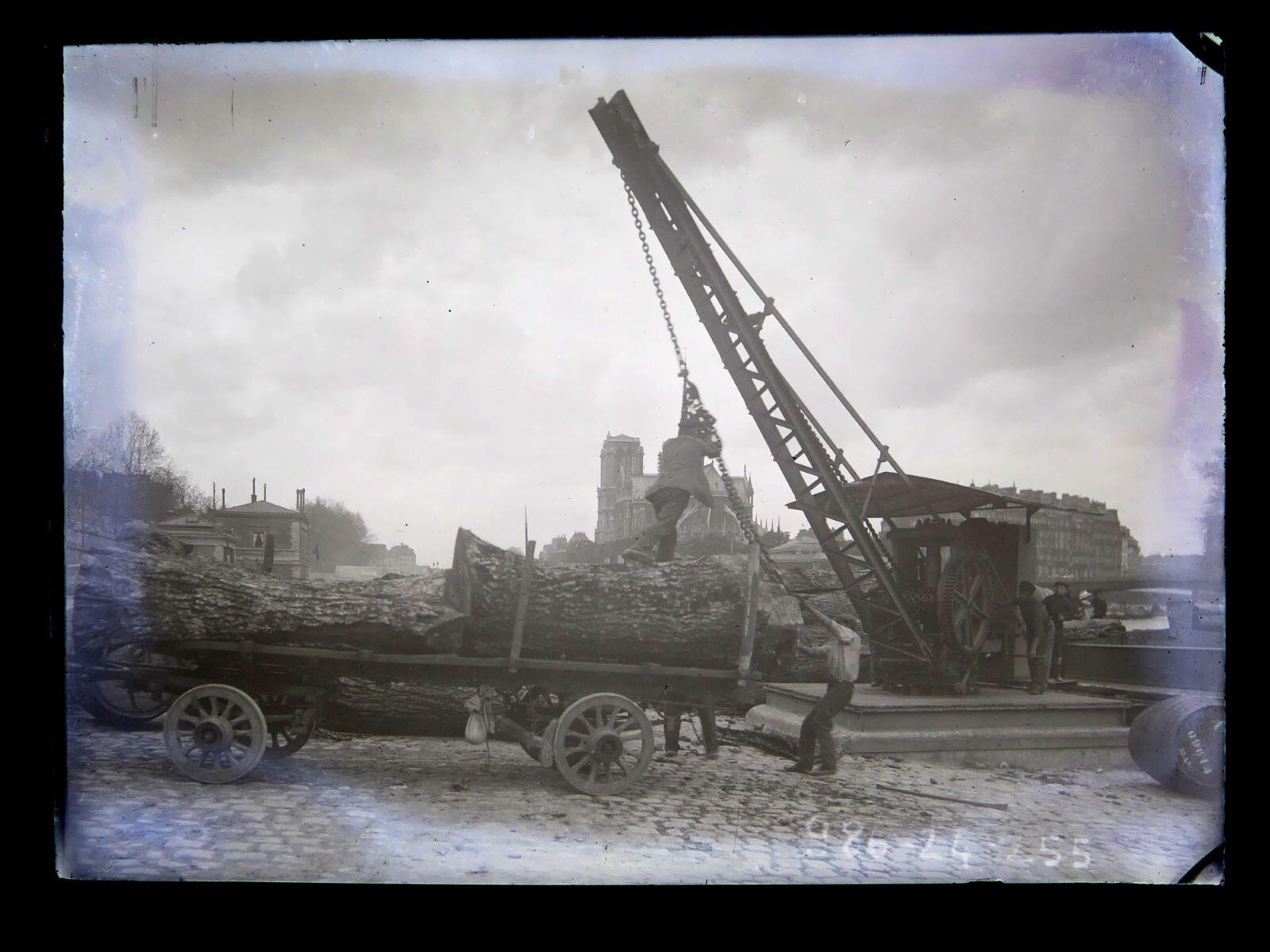 Chargement de troncs d'arbres sur les quais de Seine à Paris