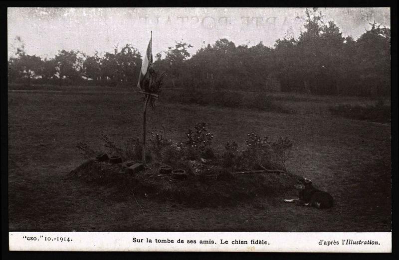 10-1914 Sur la tombe de ses amis. Le chien fidèle