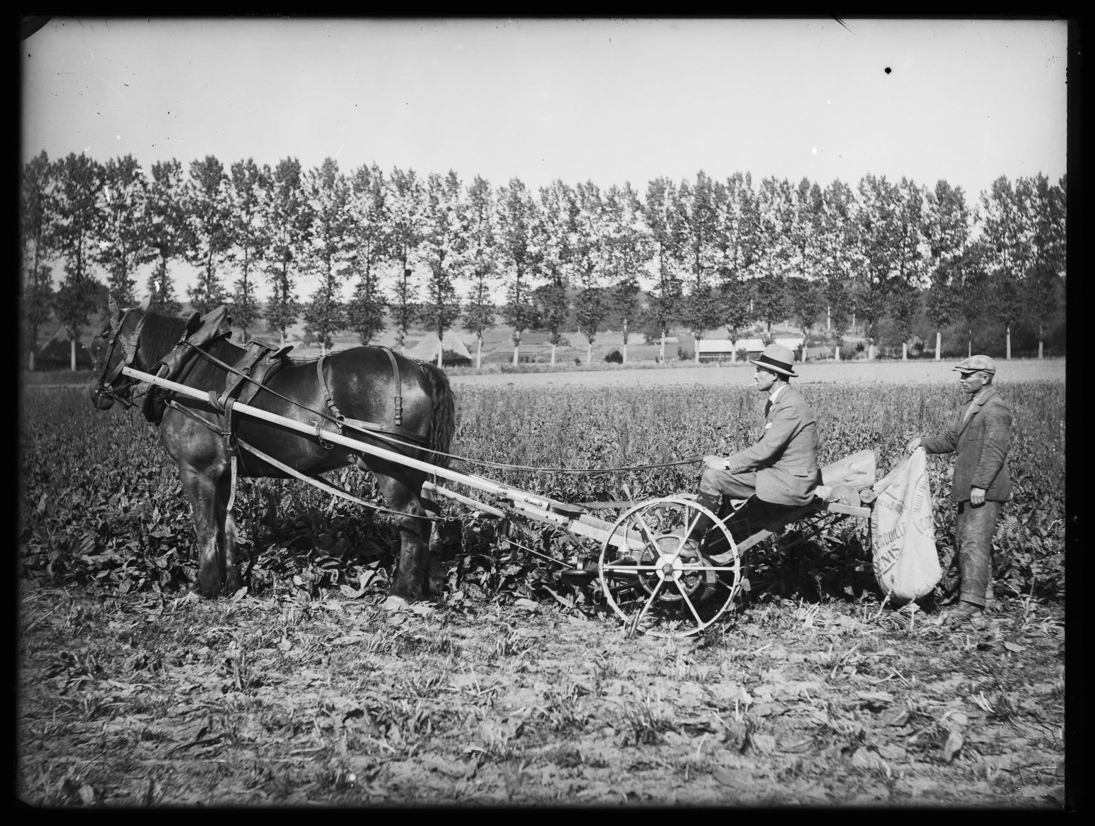 Attelage et faucheuse à oseille