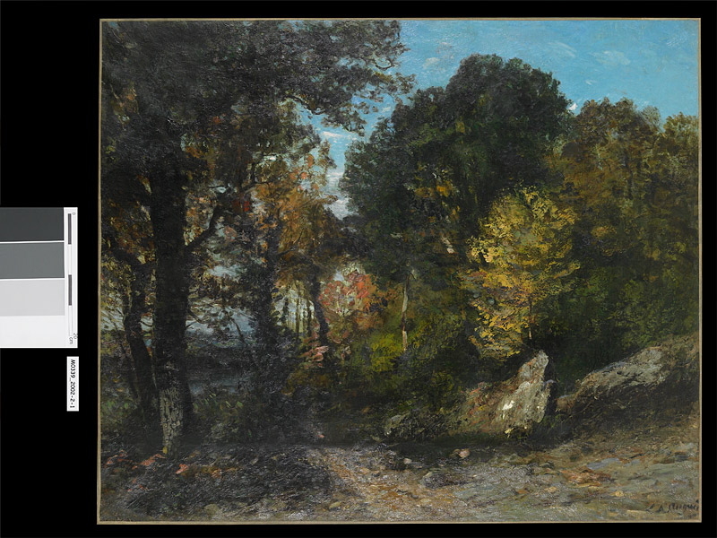 Les derniers beaux jours à Bussac (Saintonge)