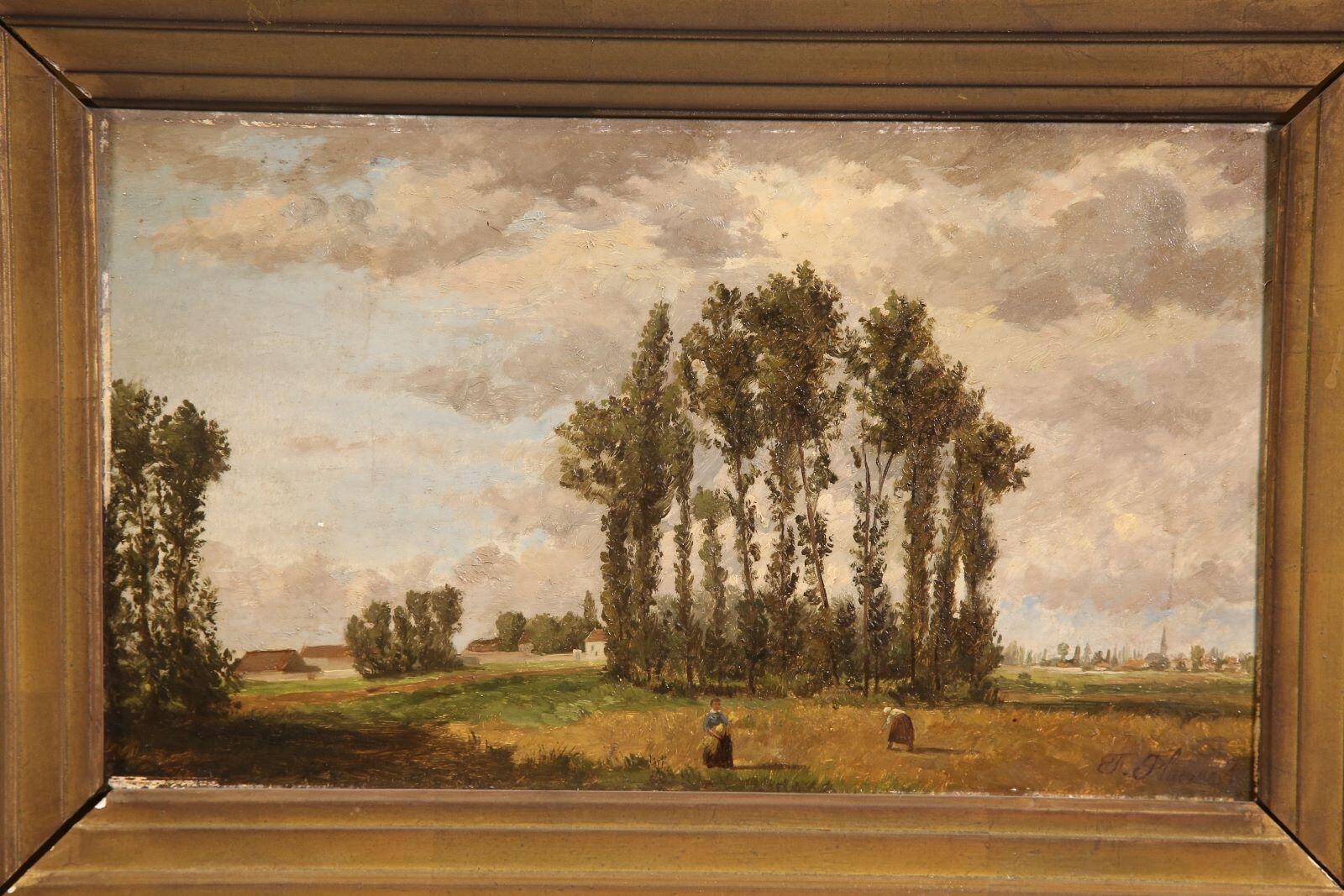 Les peupliers, moissons