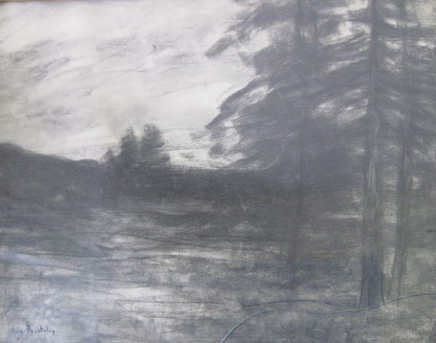 Les sapins