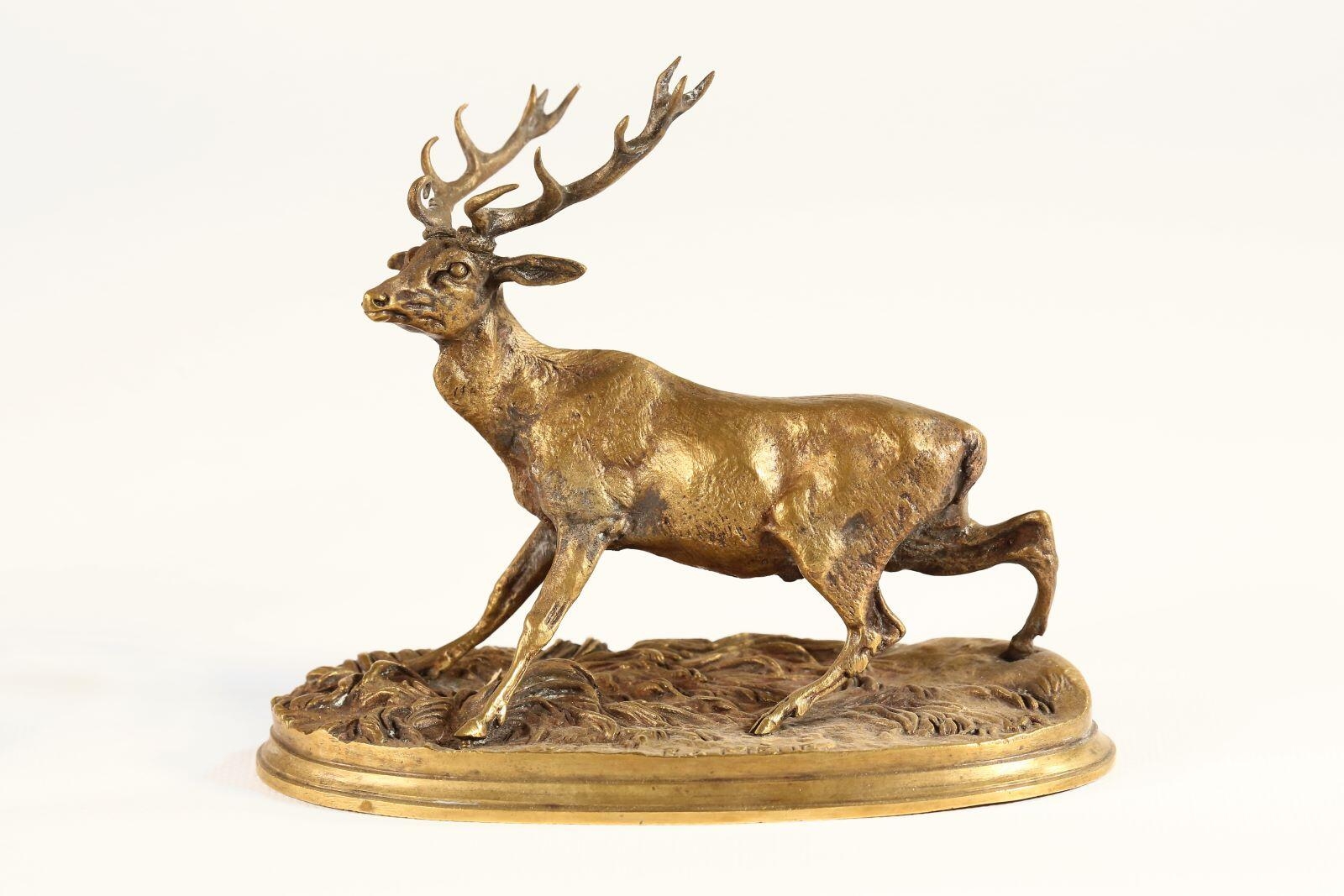 Le cerf aux abois