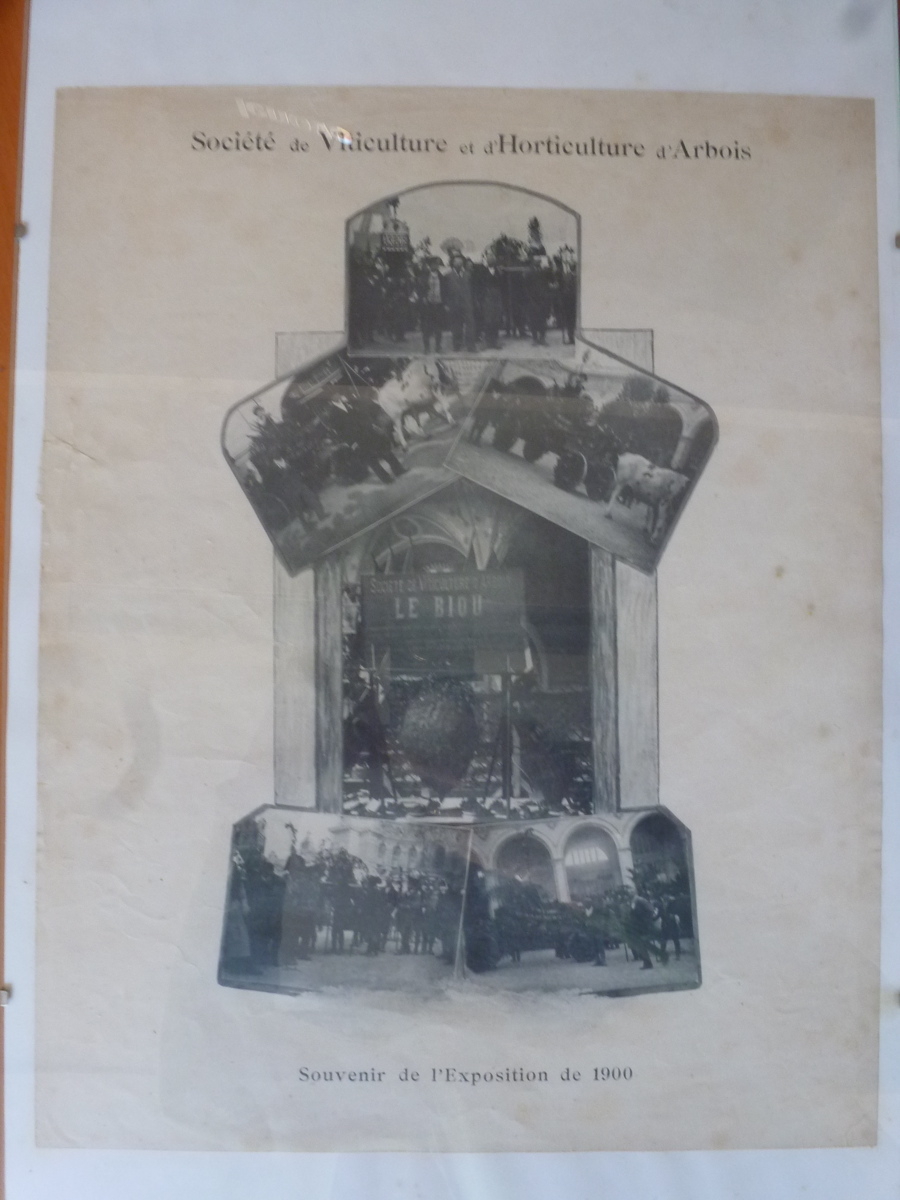 Société de Viticulture et d'Horticulture d'Arbois  : Souvenir de l'Exposition de 1900