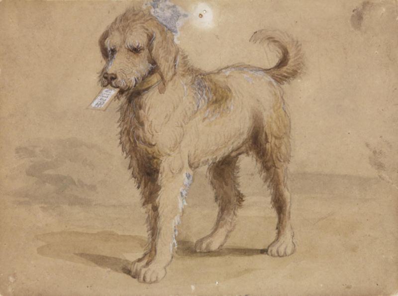 Chien présentant une carte de visite signée Belin