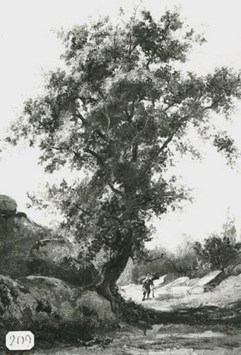 Etude d'arbres