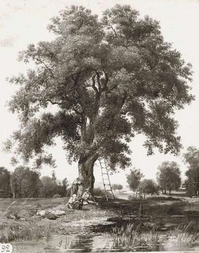 Le repas sous l'arbre