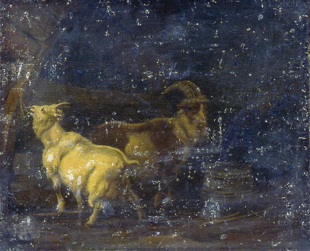 Bouc et chèvre à l'étable