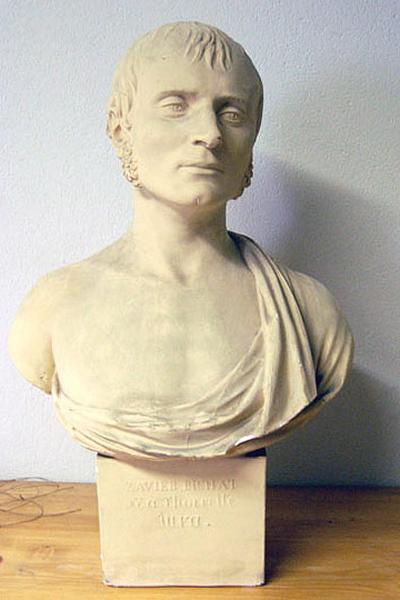 Buste en Hermès de Xavier Bichat