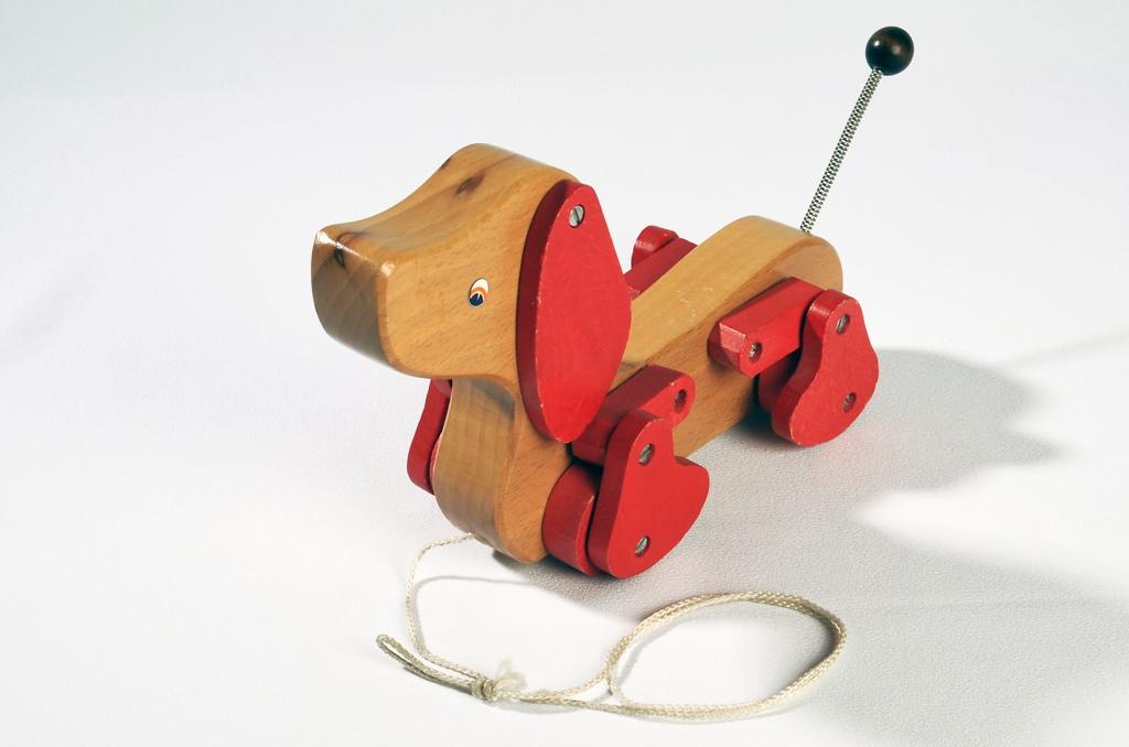 Chien (titre factice)