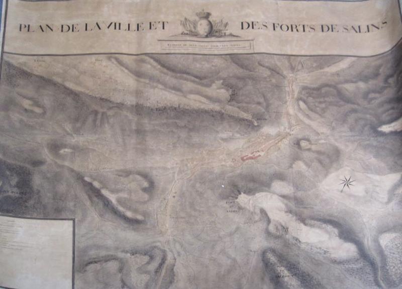 Plan de la Ville et des Forts de Salins