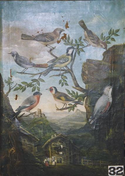 Paysage et oiseaux