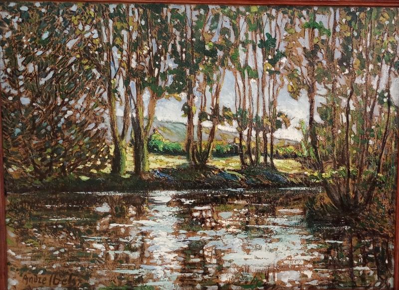 Rideaux d'arbres du Morin