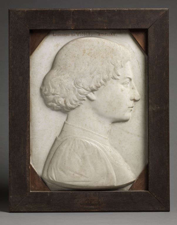 Léonard de Vinci à 15 ans