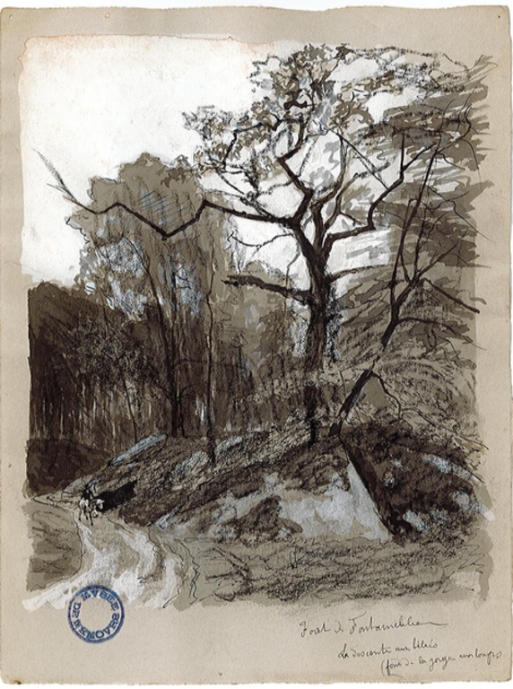 Forêt de Fontainebleau. La descente aux bébés (fond de la gorge aux loups)