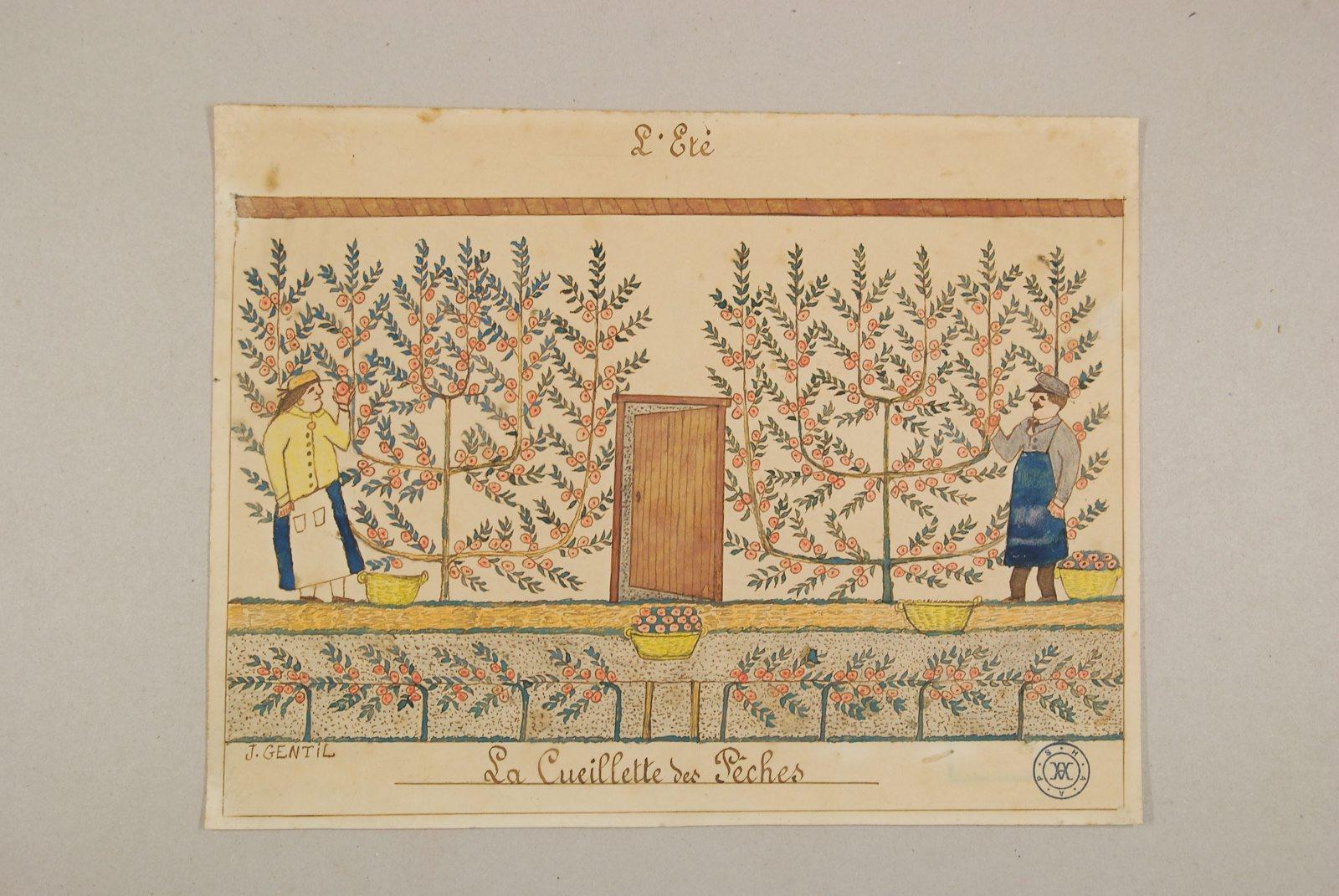 L'été, la cueillette des pêches